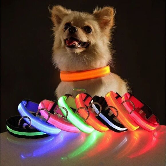 LED Dog Collar USB Charging Saftey Nightlight Flashing 3 Modes Pink Or Green NWT - Picture 1 of 8